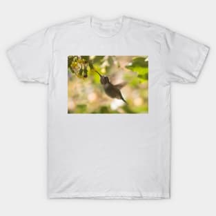 Hummingbird of Mexico T-Shirt